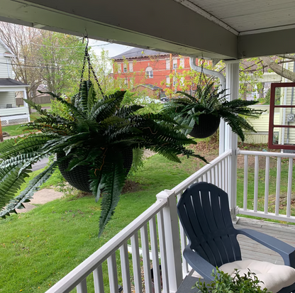 🔥On Sale Only Today 🌱 UV-Resistant Lifelike Artificial Boston Fern