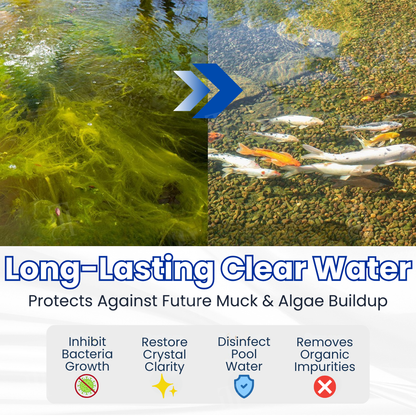 ✨ From Green to Clean Overnight! |⏱️ Crystal Clear in 24 Hours! | DeeVoo® Aqua-Guardian Pro Formula